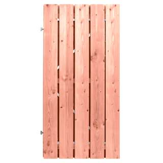 Tuindeur Stalen frame 120 x 195 cm, plank 16 x 140 mm Lariks / Douglas